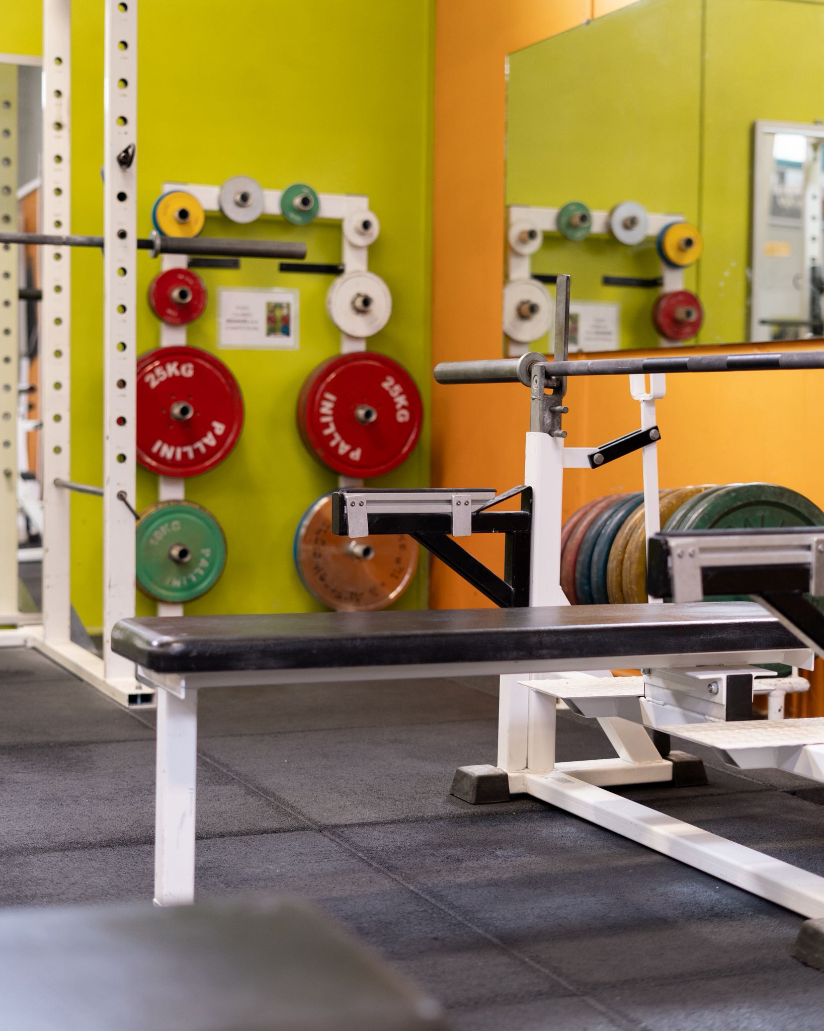 Banc de développé couché et poids Pallini